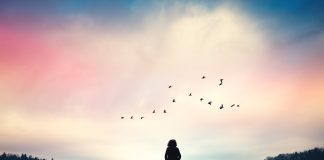 The COVID 19 Pandemic: Strengthening your Resilience